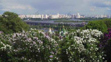 基辅市全景，有盛开的紫薇树